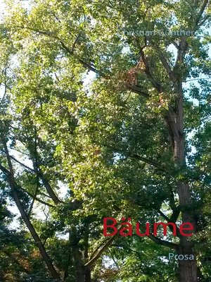 cover image of Bäume